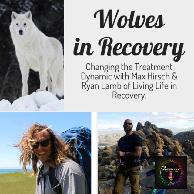 Wolves in Recovery